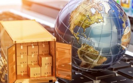 * أهمية التجارة في تنمية الاقتصاد المحلي